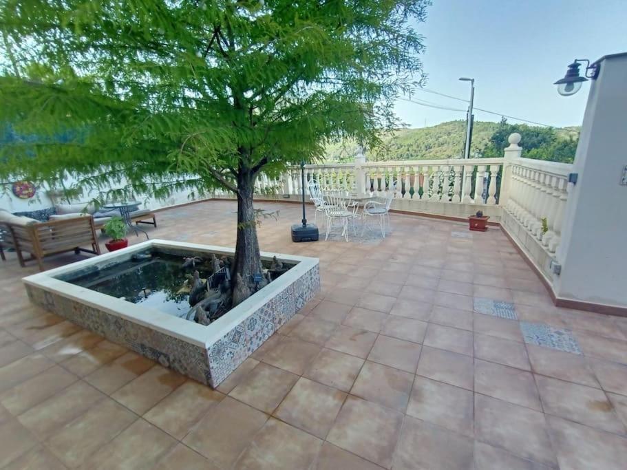 Villa Falconera Apartaments, Gandia A Las Faldas De La Montana Екстер'єр фото