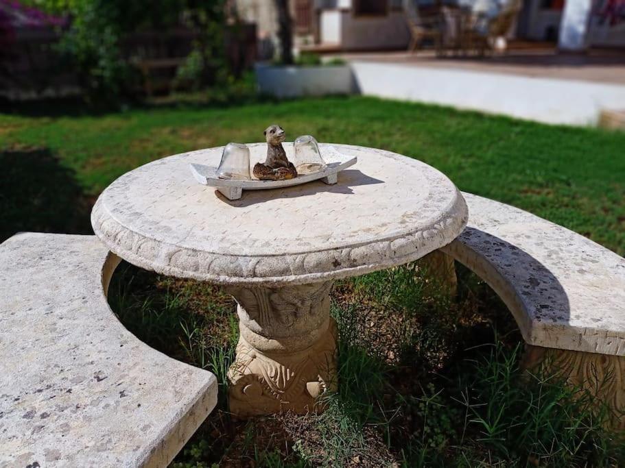 Villa Falconera Apartaments, Gandia A Las Faldas De La Montana Екстер'єр фото