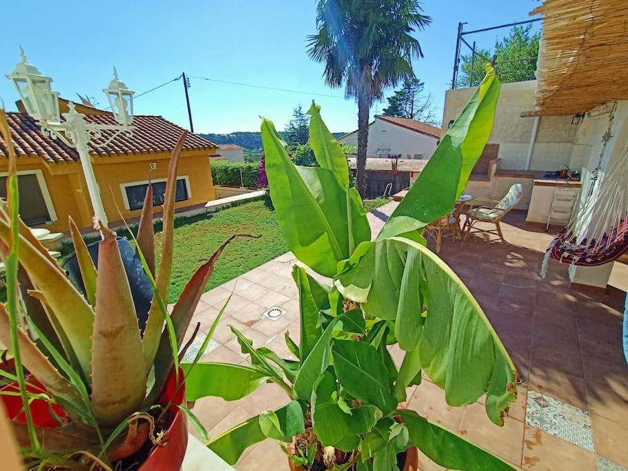 Villa Falconera Apartaments, Gandia A Las Faldas De La Montana Екстер'єр фото