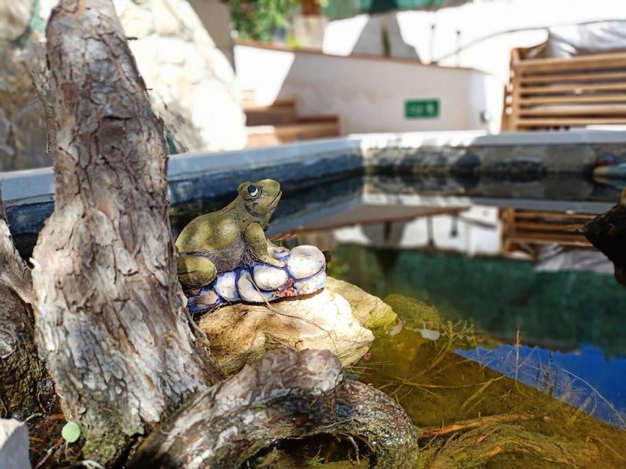 Villa Falconera Apartaments, Gandia A Las Faldas De La Montana Екстер'єр фото