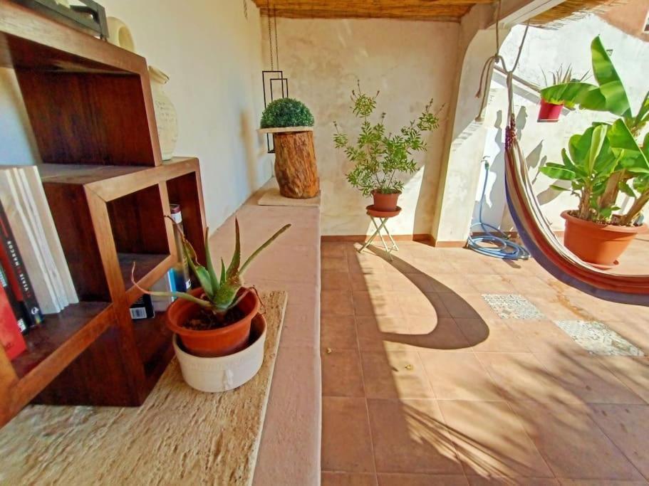 Villa Falconera Apartaments, Gandia A Las Faldas De La Montana Екстер'єр фото