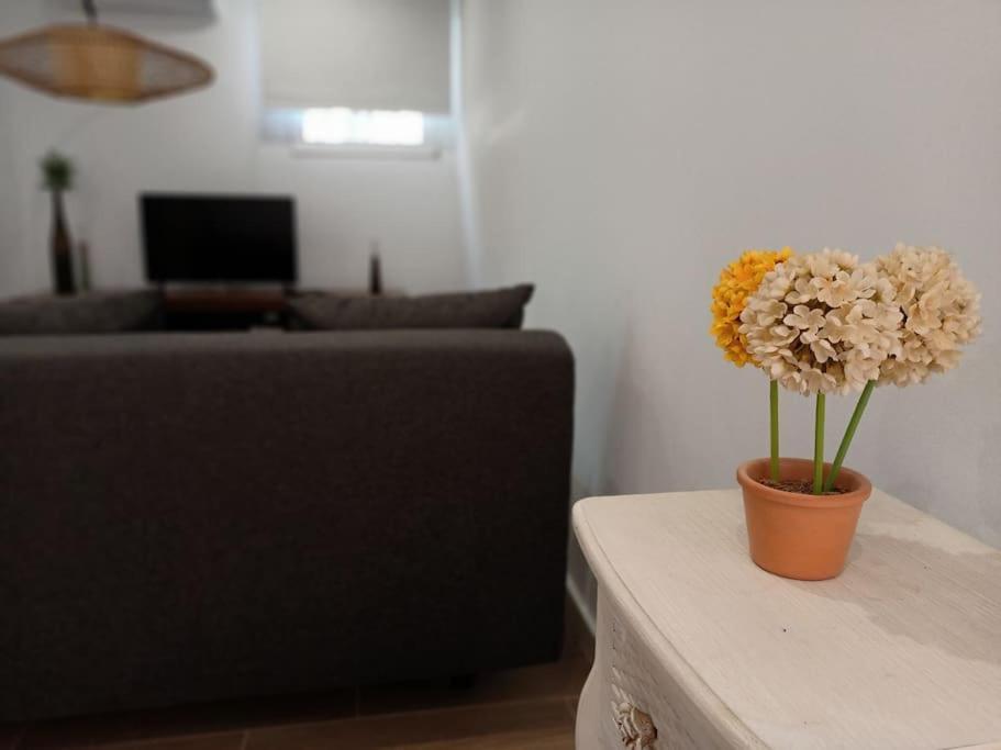 Villa Falconera Apartaments, Gandia A Las Faldas De La Montana Екстер'єр фото